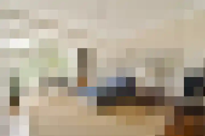 Minervalaan 41 2 Amsterdam thumbnail 11