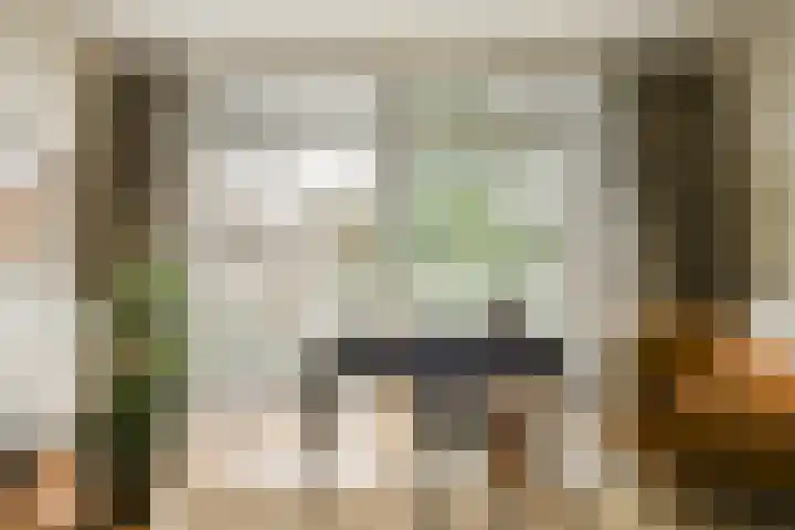 Minervalaan 41 2 Amsterdam thumbnail 12