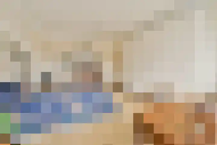 Minervalaan 41 2 Amsterdam thumbnail 14