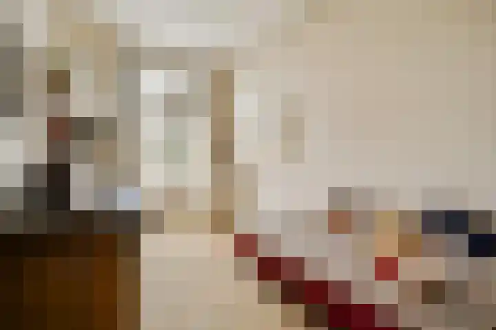 Minervalaan 41 2 Amsterdam thumbnail 15