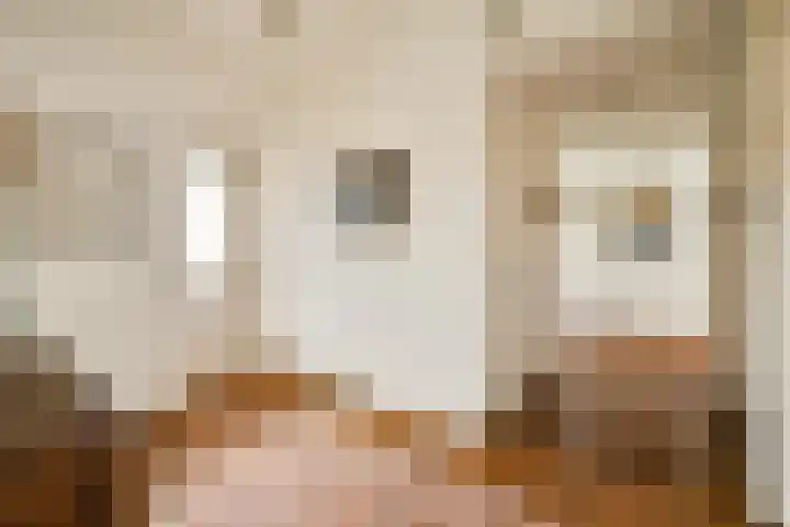 Minervalaan 41 2 Amsterdam thumbnail 16