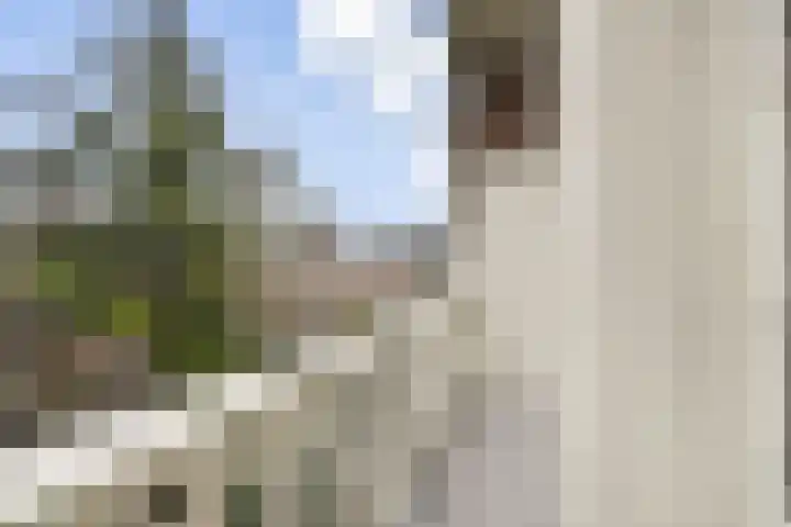 Minervalaan 41 2 Amsterdam thumbnail 23
