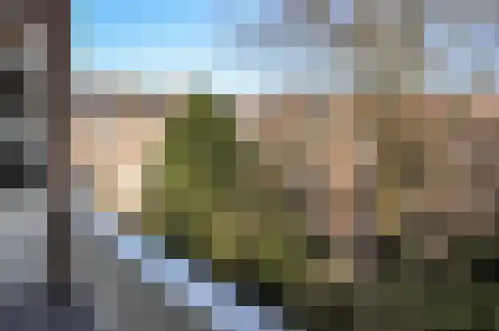 Minervalaan 41 2 Amsterdam thumbnail 24