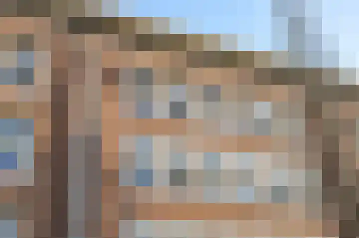 Minervalaan 41 2 Amsterdam thumbnail 31