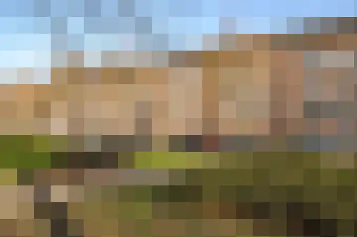 Minervalaan 41 2 Amsterdam thumbnail 34