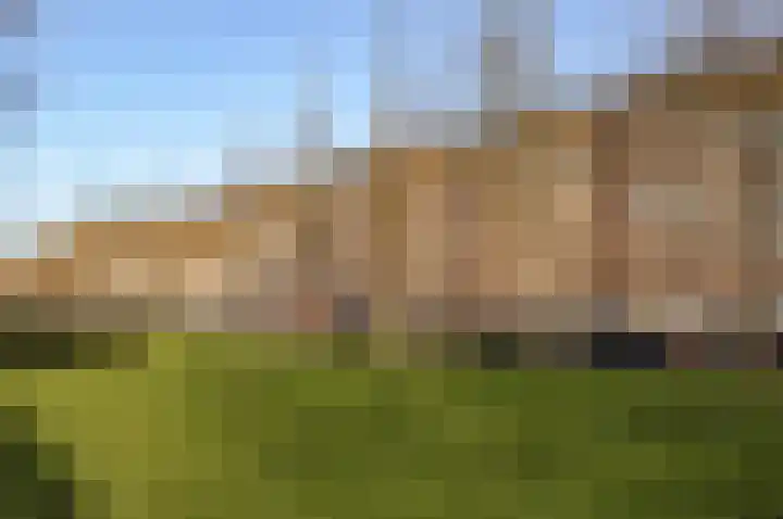 Minervalaan 41 2 Amsterdam thumbnail 35