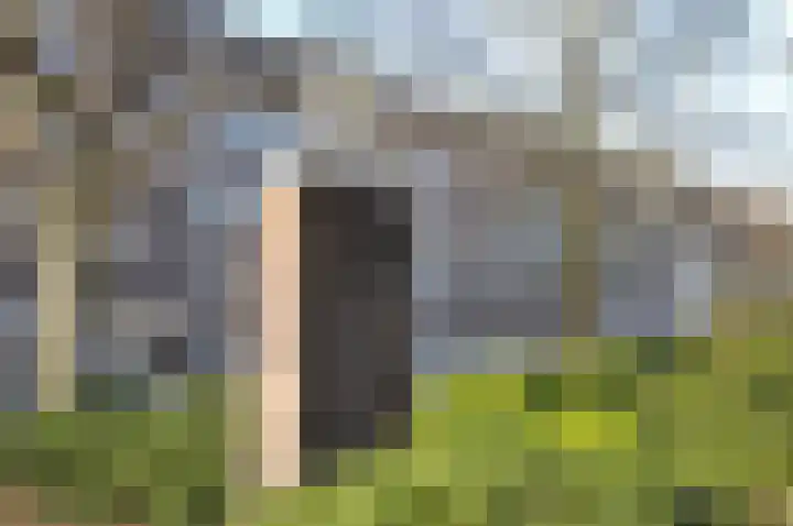 Minervalaan 41 2 Amsterdam thumbnail 36