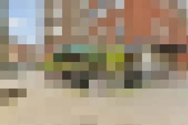 Minervalaan 41 2 Amsterdam thumbnail 38