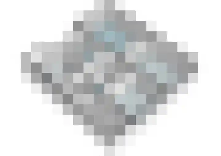 Minervalaan 41 2 Amsterdam thumbnail 43