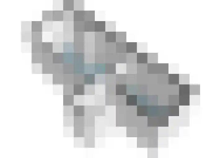 Minervalaan 41 2 Amsterdam thumbnail 46