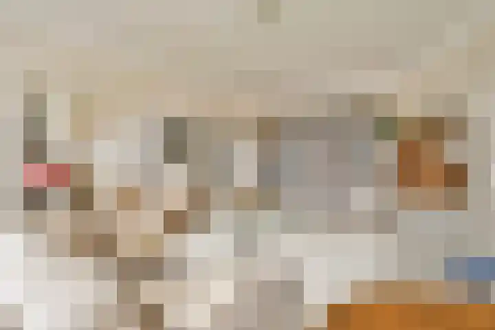 Minervalaan 41 2 Amsterdam thumbnail 5