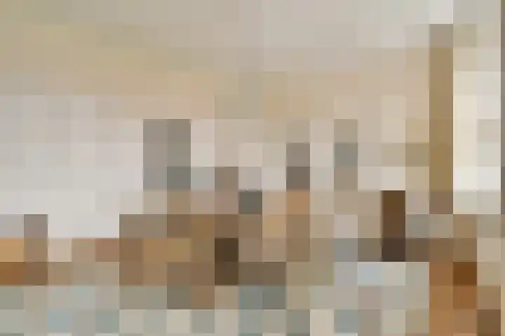 Minervalaan 41 2 Amsterdam thumbnail 8