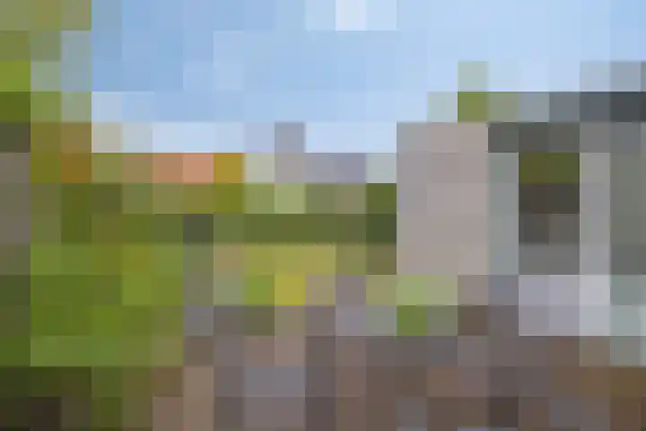 Minervalaan 43 Apeldoorn thumbnail 15
