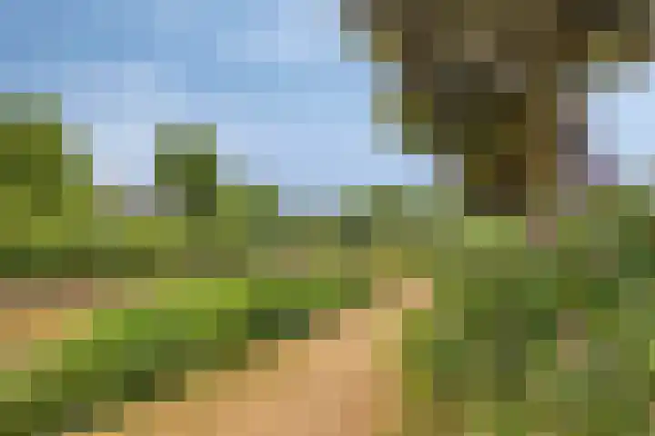 Minervalaan 43 Apeldoorn thumbnail 30
