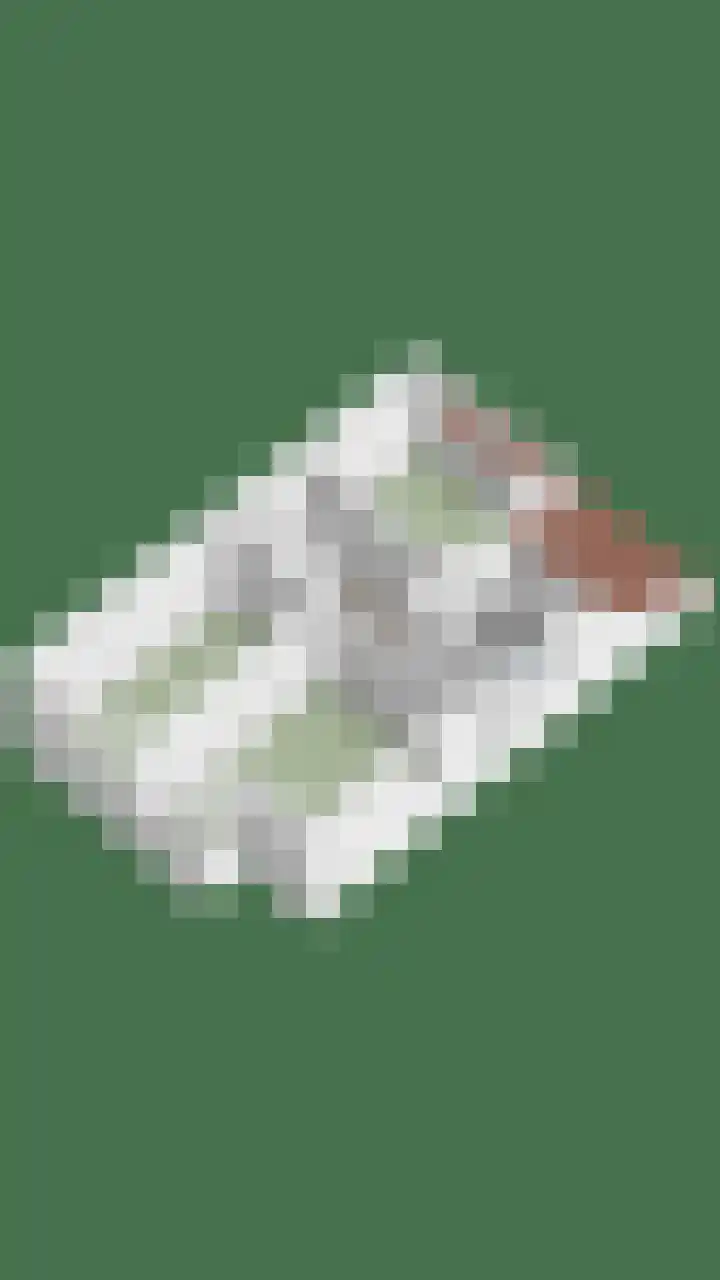 Minervalaan 43 Apeldoorn thumbnail 41