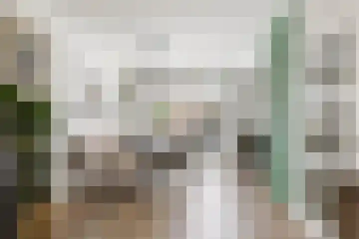 Minervalaan 5 Apeldoorn thumbnail 10
