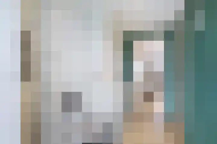 Minervalaan 5 Apeldoorn thumbnail 19