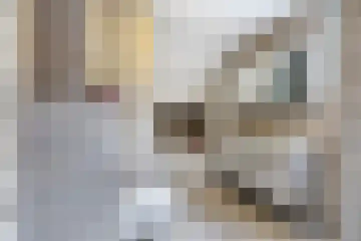 Minervalaan 5 Apeldoorn thumbnail 28