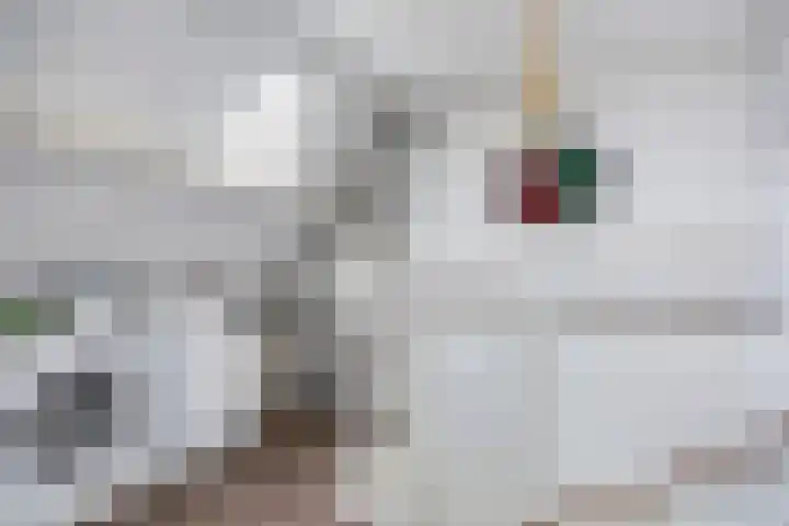 Minervalaan 5 Apeldoorn thumbnail 30