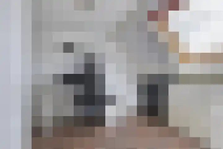 Minervalaan 5 Apeldoorn thumbnail 31
