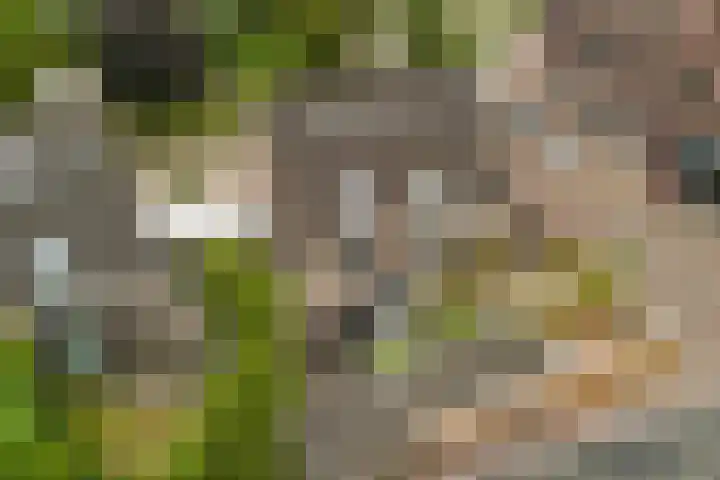 Minervalaan 5 Apeldoorn thumbnail 36
