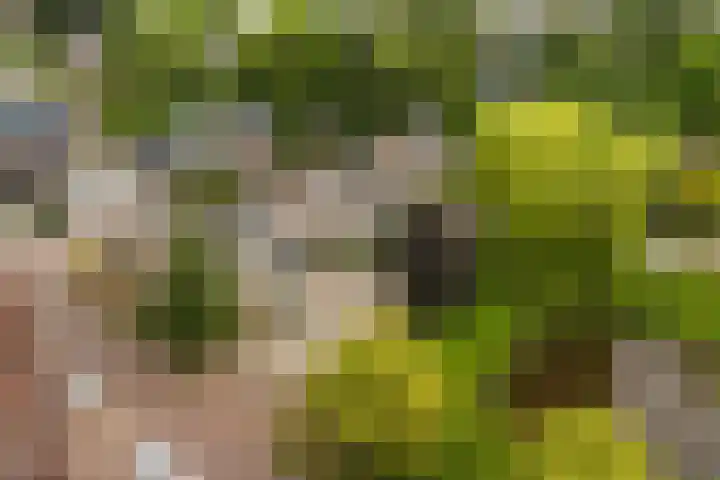 Minervalaan 5 Apeldoorn thumbnail 37