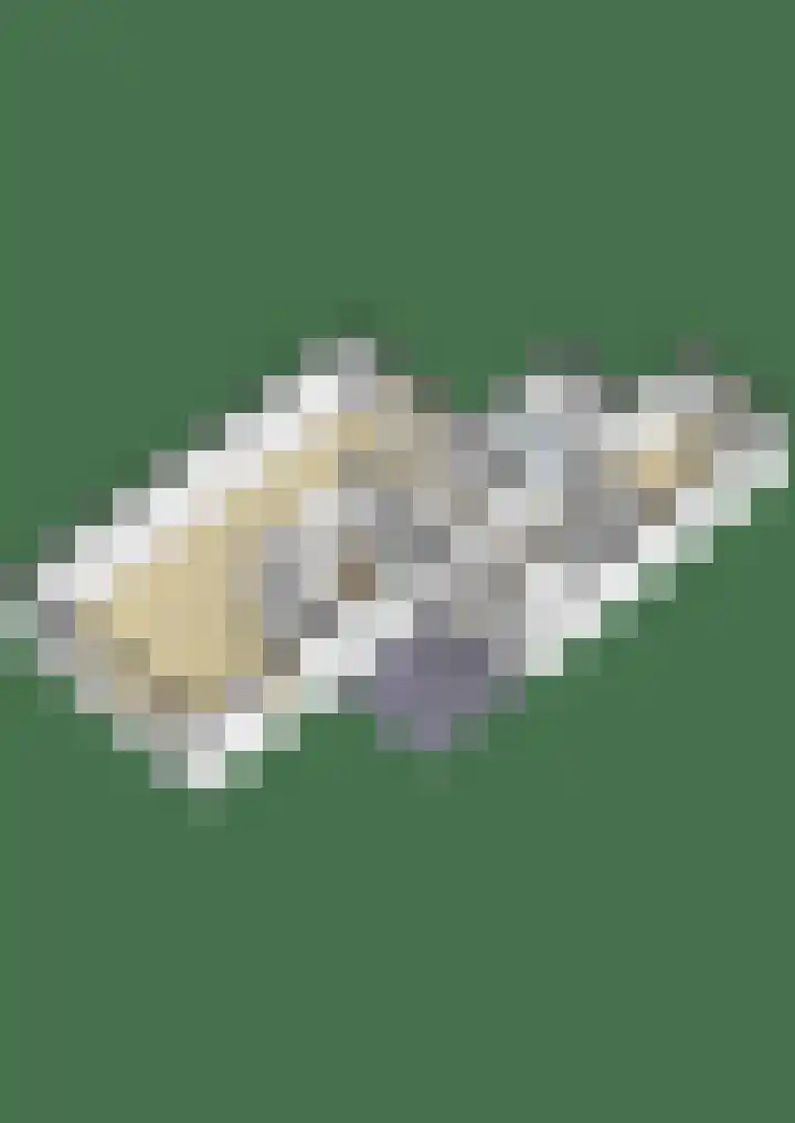 Minervalaan 5 Apeldoorn thumbnail 39