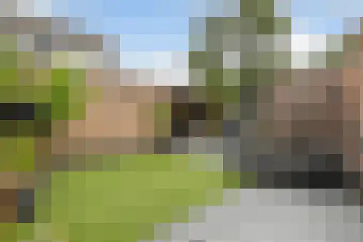 Minervalaan 5 Apeldoorn thumbnail 4