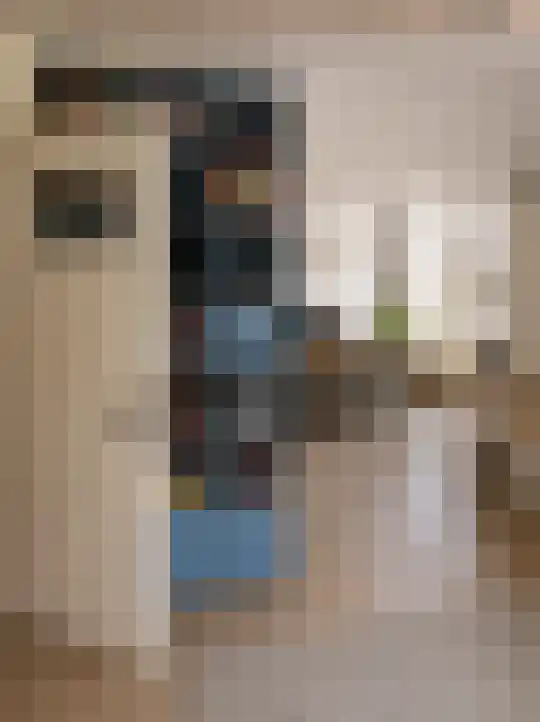 Minervalaan 65 Amsterdam thumbnail 4