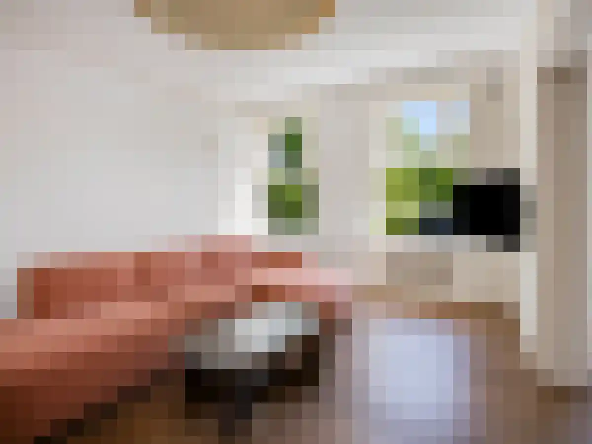 Minervalaan 68 2 Amsterdam thumbnail 4