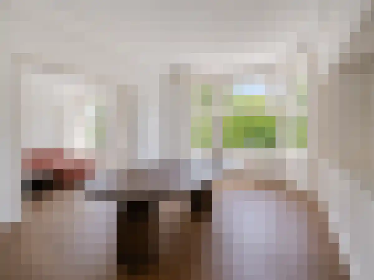 Minervalaan 68 2 Amsterdam thumbnail 6