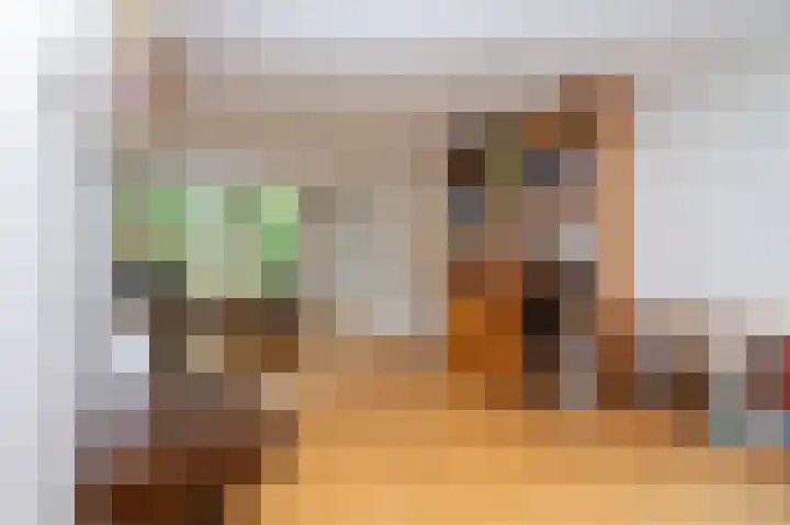 Minervalaan 69 Apeldoorn thumbnail 11