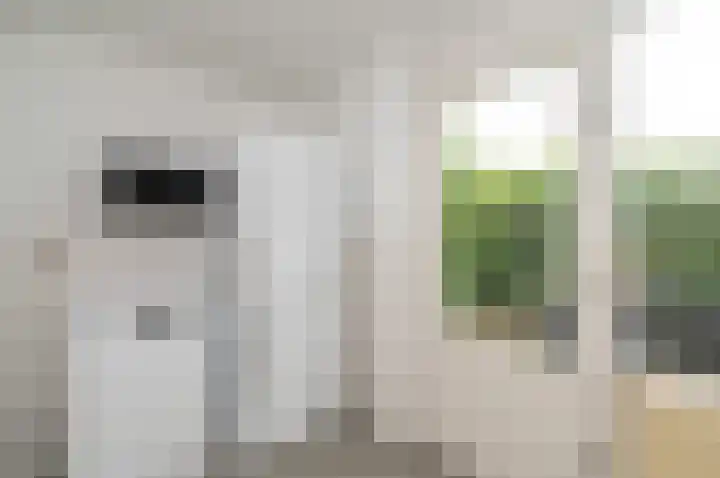 Minervalaan 69 Apeldoorn thumbnail 14