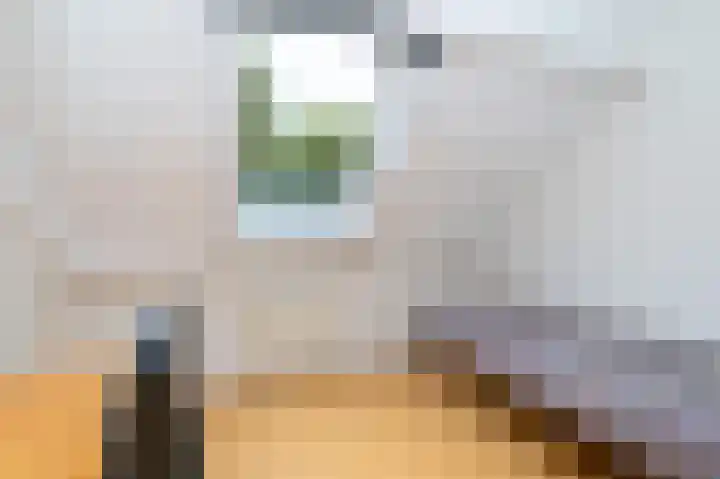 Minervalaan 69 Apeldoorn thumbnail 18