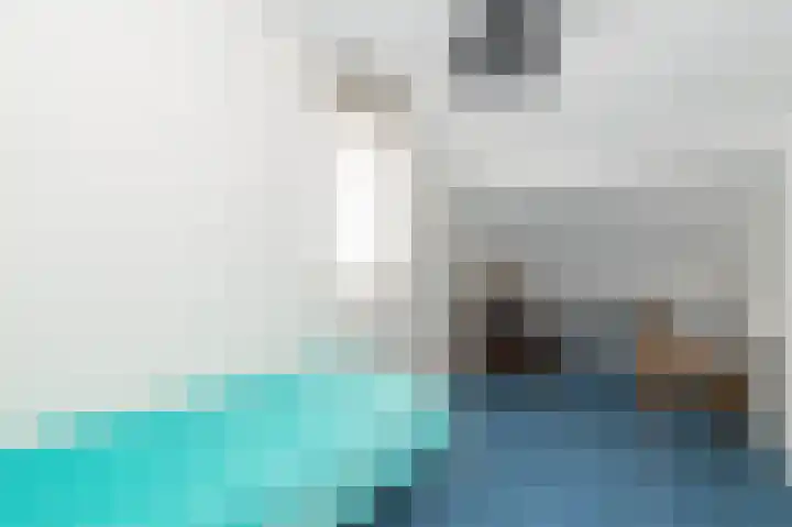 Minervalaan 69 Apeldoorn thumbnail 22