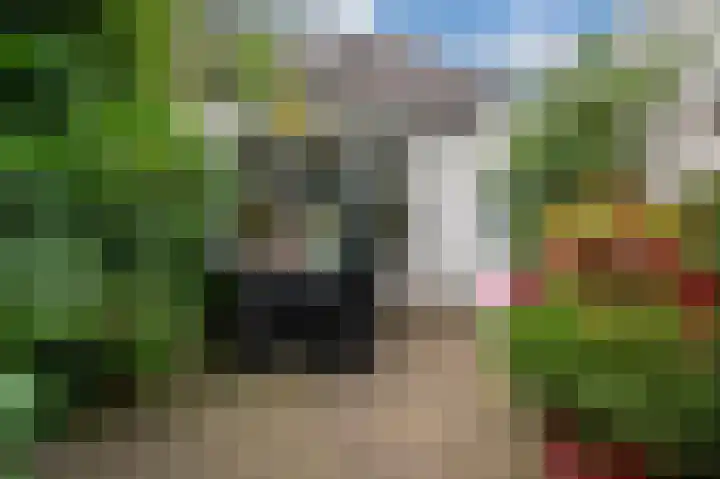 Minervalaan 69 Apeldoorn thumbnail 23