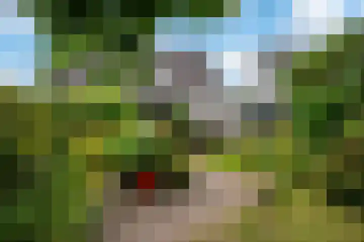 Minervalaan 69 Apeldoorn thumbnail 24