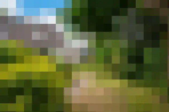 Minervalaan 69 Apeldoorn thumbnail 25