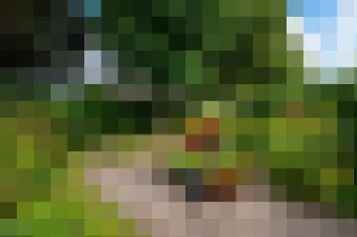 Minervalaan 69 Apeldoorn thumbnail 26