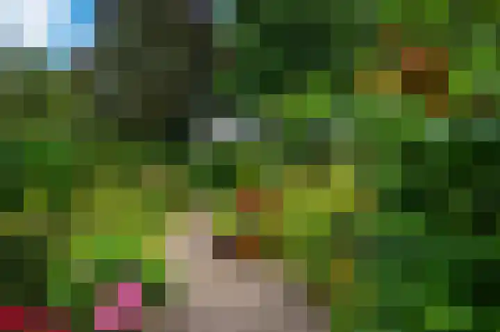 Minervalaan 69 Apeldoorn thumbnail 27