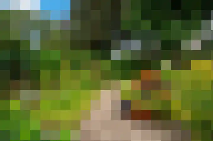 Minervalaan 69 Apeldoorn thumbnail 28