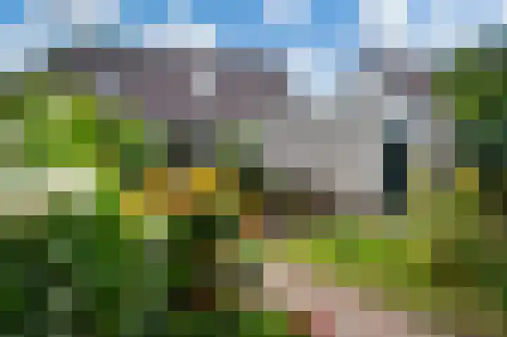 Minervalaan 69 Apeldoorn thumbnail 29