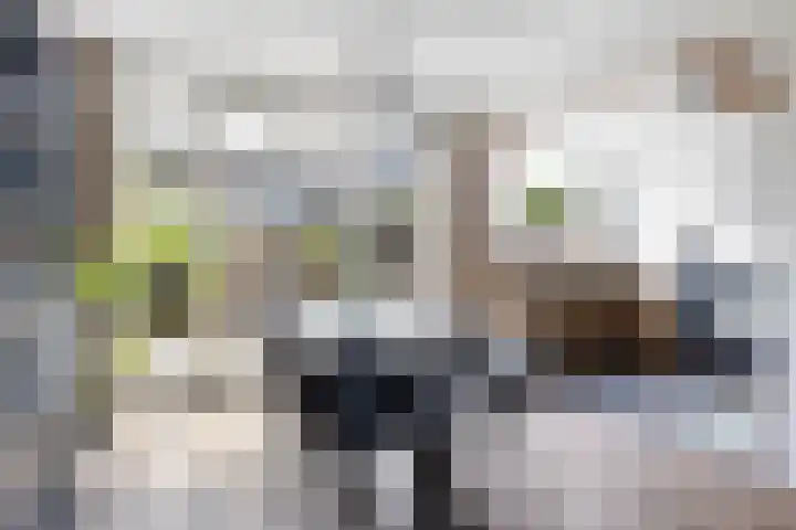 Minervalaan 76 1 Amsterdam thumbnail 11