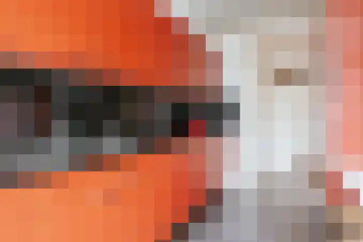 Minervalaan 76 1 Amsterdam thumbnail 12