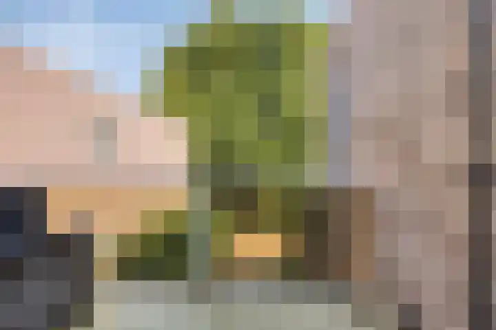 Minervalaan 76 1 Amsterdam thumbnail 19