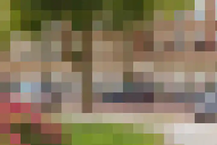 Minervalaan 76 1 Amsterdam foto 2