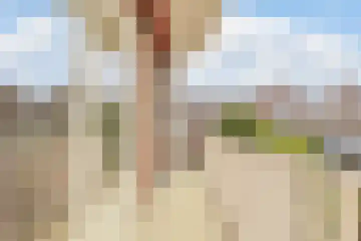 Minervalaan 76 1 Amsterdam thumbnail 25