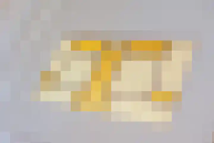 Minervalaan 76 1 Amsterdam thumbnail 30