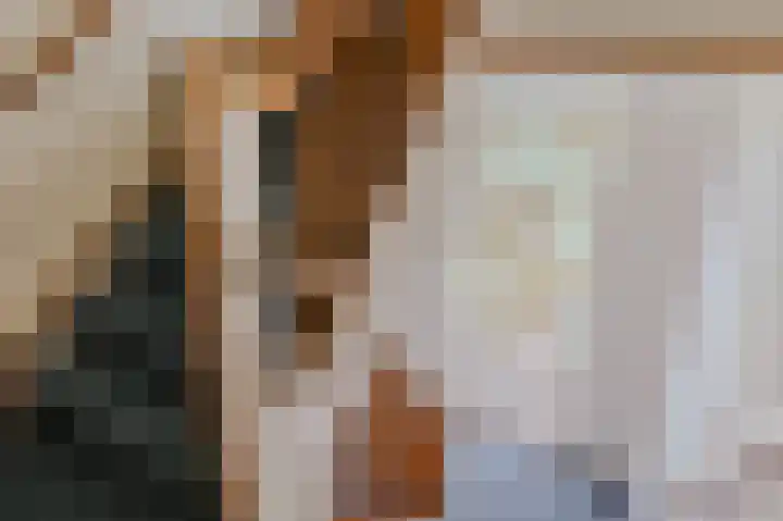 Minervalaan 76 1 Amsterdam thumbnail 32