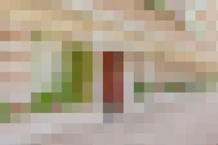 Minervalaan 76 1 Amsterdam thumbnail 34